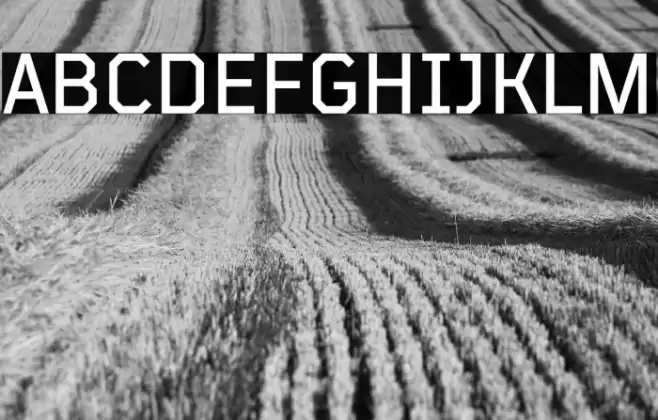 TT Mussels Trl Medium Fonte examples