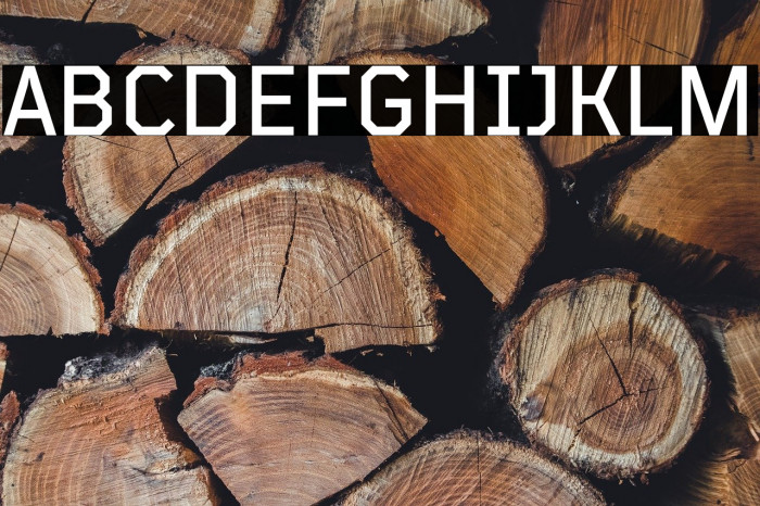 TT Mussels Trl Medium Example 2