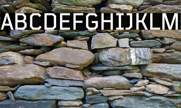 TT Mussels Trl Medium Example 3