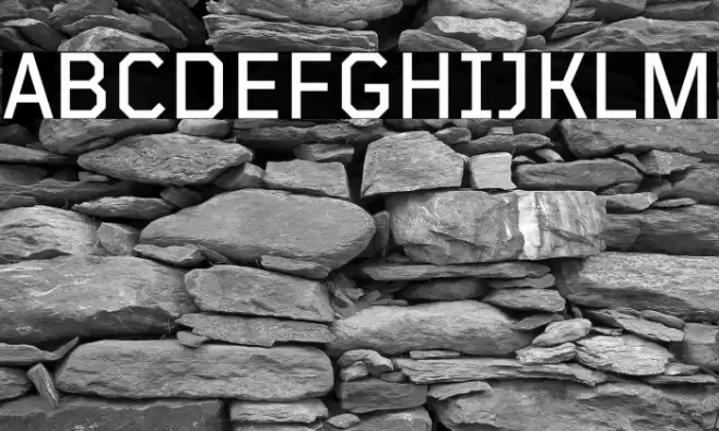 TT Mussels Trl Medium Fonte examples