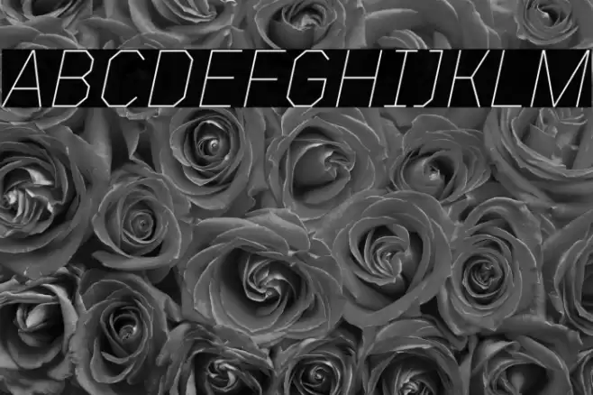 TT Mussels Trl Thin Italic Font examples