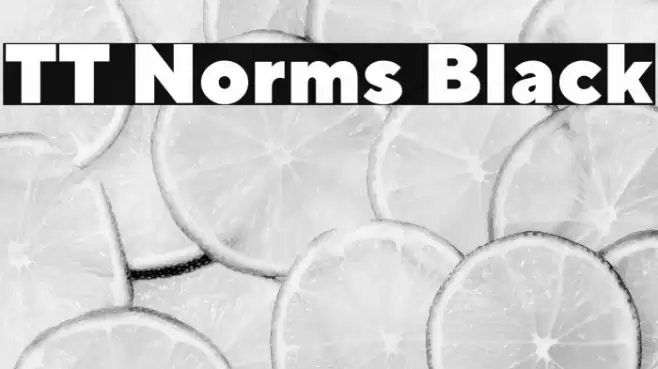 TT Norms Black Font examples