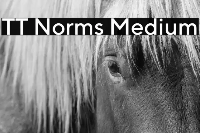 TT Norms Medium Font examples