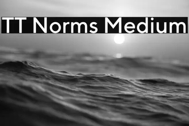 TT Norms Medium Font examples