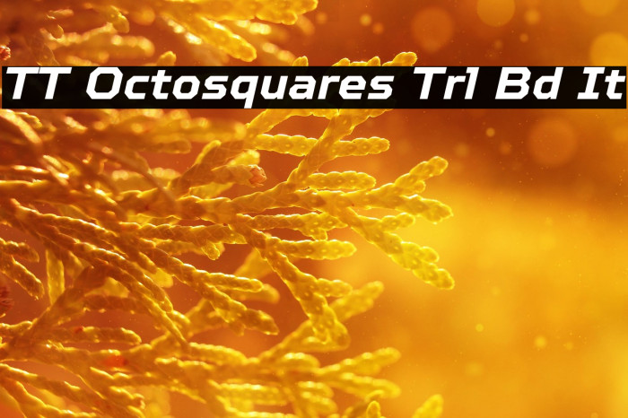 TT Octosquares Trl Bd It Example 1