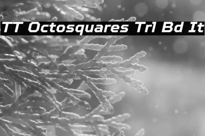 TT Octosquares Trl Bd It Fuentes examples