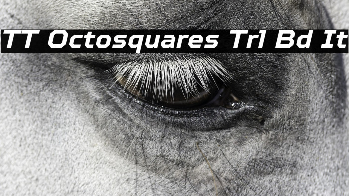 TT Octosquares Trl Bd It Example 3