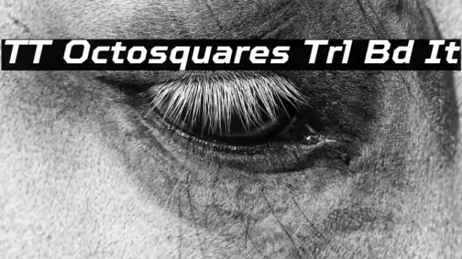 TT Octosquares Trl Bd It Fuentes examples