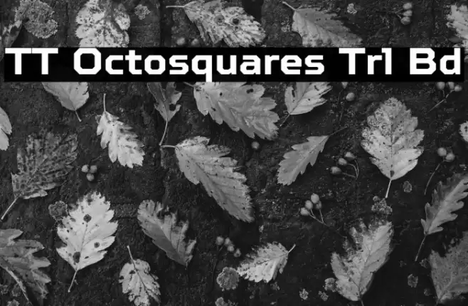 TT Octosquares Trl Bd Font examples