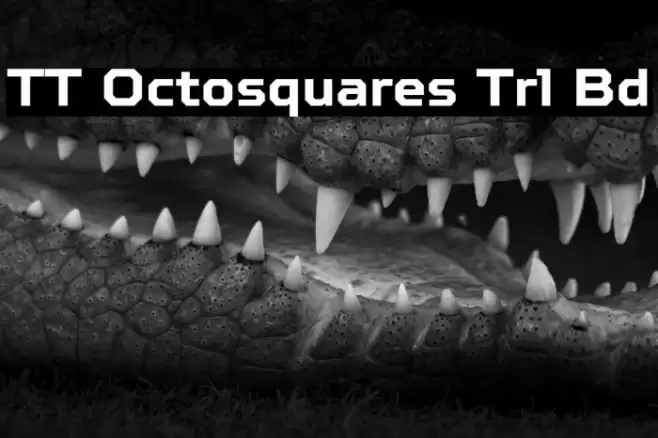 TT Octosquares Trl Bd Font examples