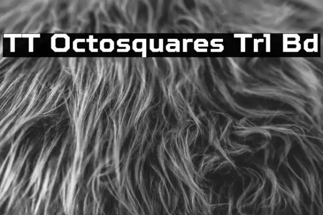 TT Octosquares Trl Bd Font examples