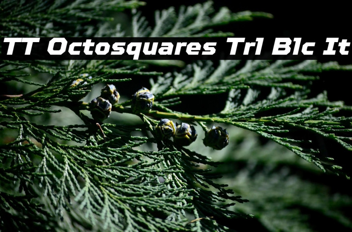 TT Octosquares Trl Blc It Example 3
