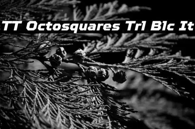 TT Octosquares Trl Blc It خط examples