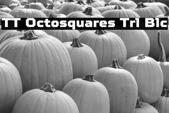 TT Octosquares Trl Blc Fuentes examples