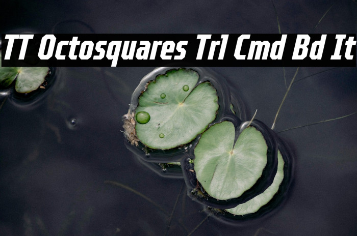 TT Octosquares Trl Cmd Bd It Example 2