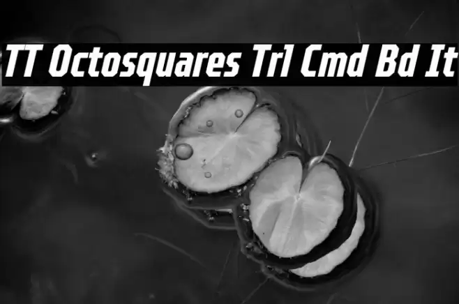 TT Octosquares Trl Cmd Bd It Caratteri examples
