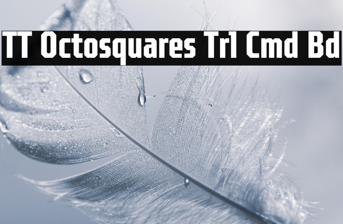 TT Octosquares Trl Cmd Bd Example 1