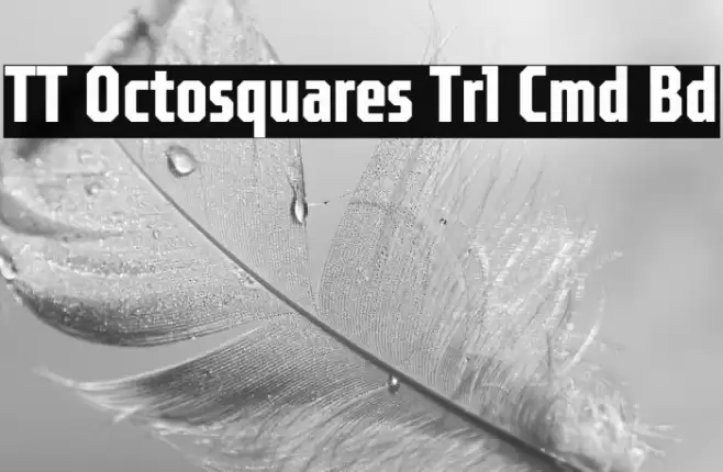 TT Octosquares Trl Cmd Bd Caratteri examples