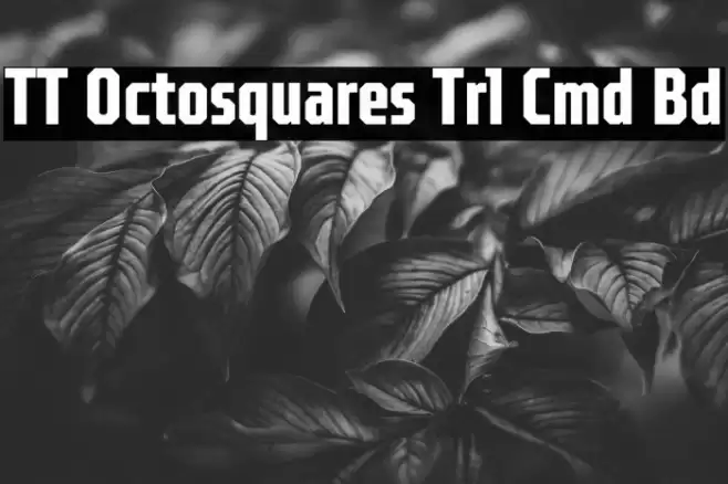 TT Octosquares Trl Cmd Bd Caratteri examples