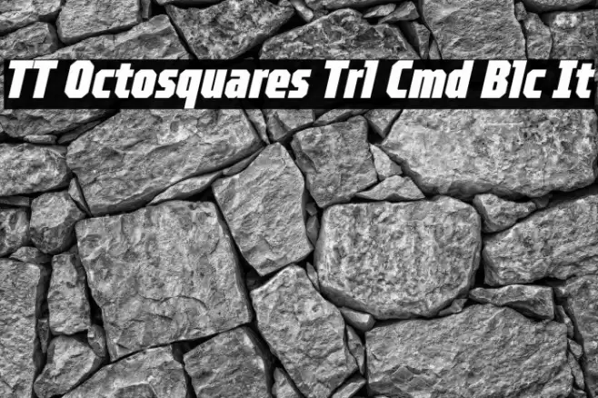 TT Octosquares Trl Cmd Blc It Font examples