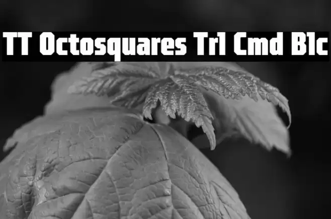 TT Octosquares Trl Cmd Blc Font examples
