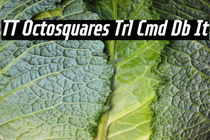 TT Octosquares Trl Cmd Db It Example 2