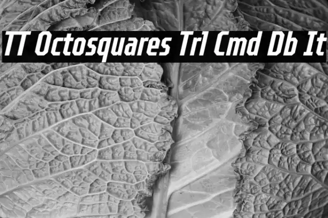 TT Octosquares Trl Cmd Db It Шрифта examples