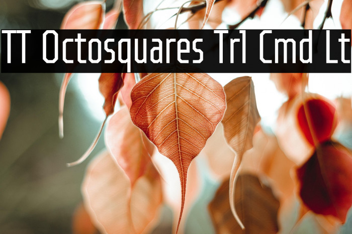 TT Octosquares Trl Cmd Lt Example 1