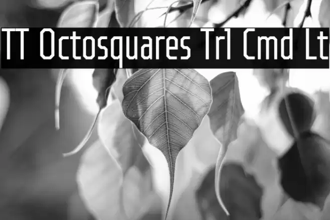 TT Octosquares Trl Cmd Lt フォント examples