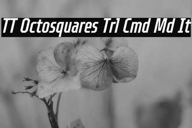 TT Octosquares Trl Cmd Md It Font examples