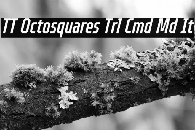 TT Octosquares Trl Cmd Md It Font examples