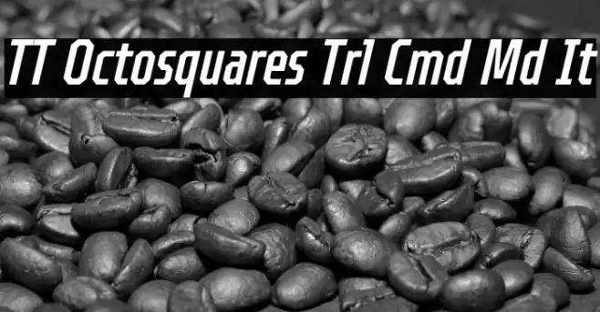 TT Octosquares Trl Cmd Md It Font examples