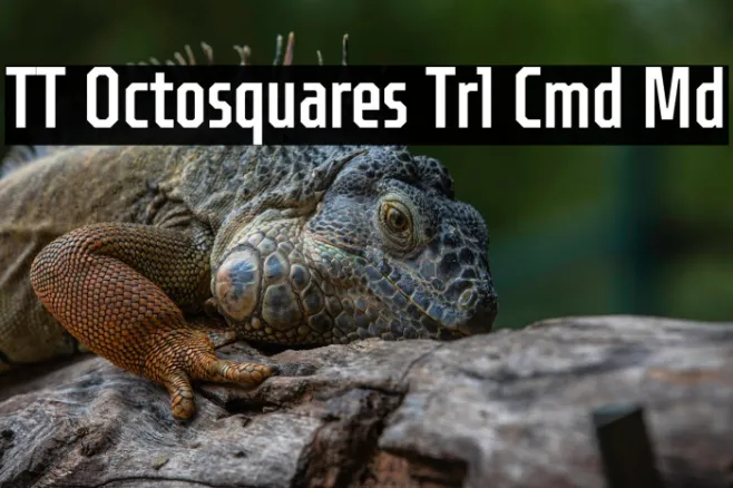 TT Octosquares Trl Cmd Md Example 2