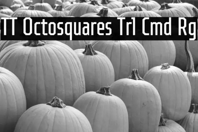 TT Octosquares Trl Cmd Rg フォント examples