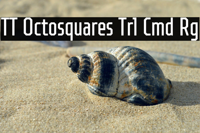 TT Octosquares Trl Cmd Rg Example 3