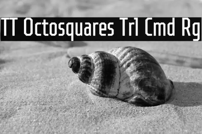 TT Octosquares Trl Cmd Rg フォント examples