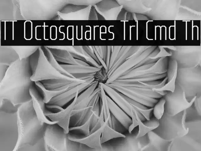 TT Octosquares Trl Cmd Th フォント examples
