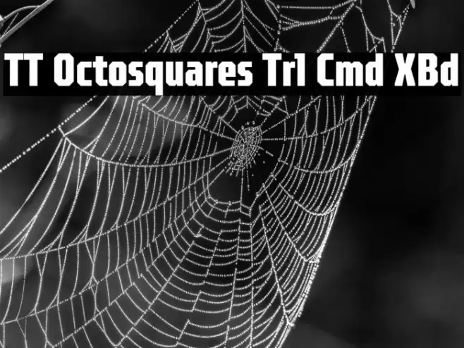 TT Octosquares Trl Cmd XBd Font examples