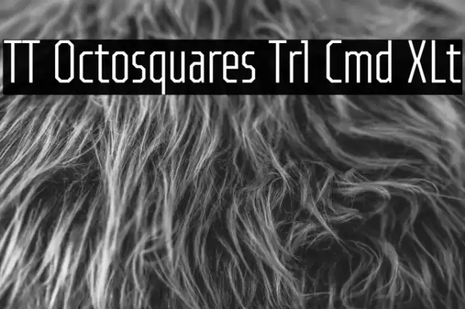 TT Octosquares Trl Cmd XLt Font examples