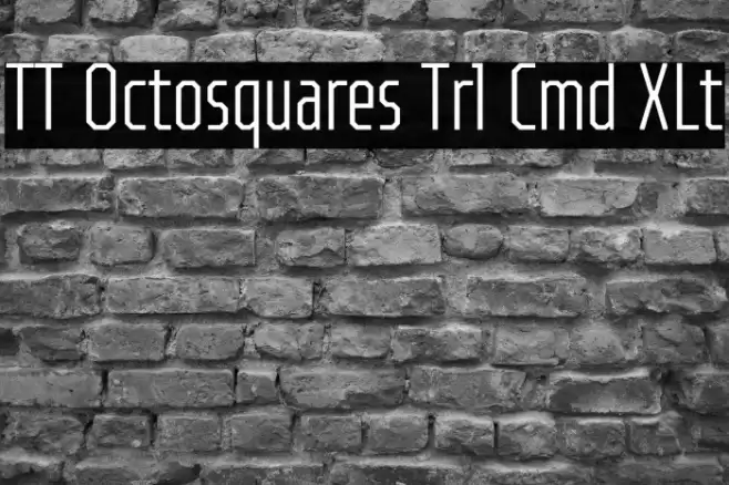 TT Octosquares Trl Cmd XLt Font examples