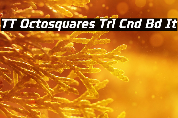 TT Octosquares Trl Cnd Bd It Example 2