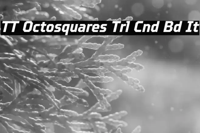 TT Octosquares Trl Cnd Bd It Font examples