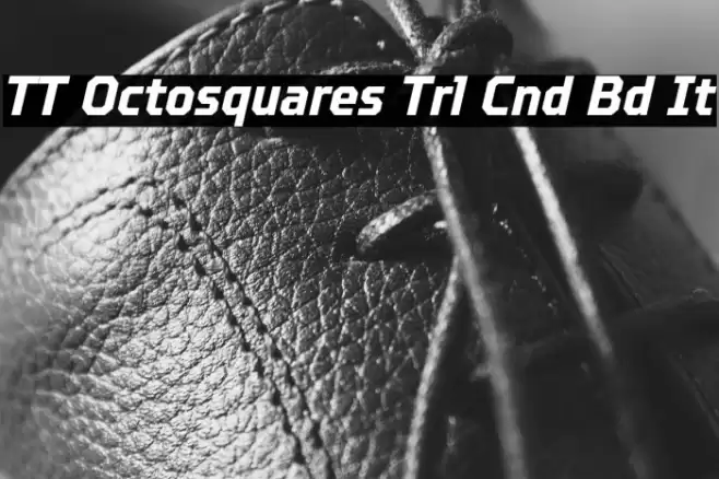 TT Octosquares Trl Cnd Bd It Font examples