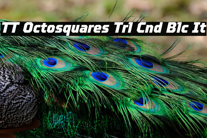 TT Octosquares Trl Cnd Blc It Example 1