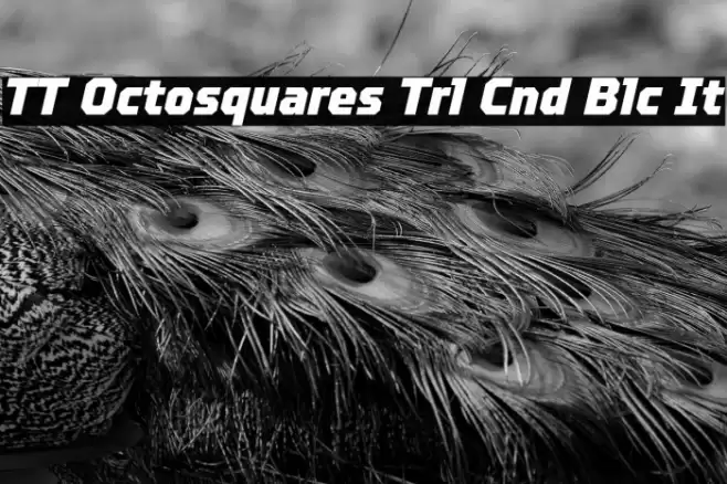 TT Octosquares Trl Cnd Blc It Fuentes examples