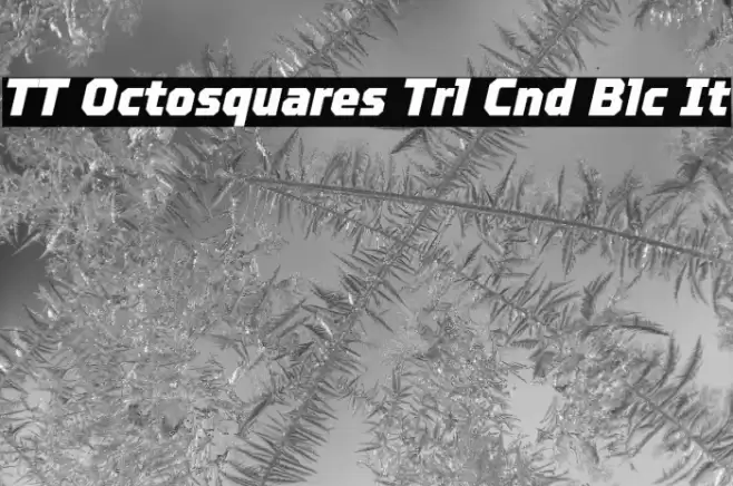 TT Octosquares Trl Cnd Blc It Fuentes examples