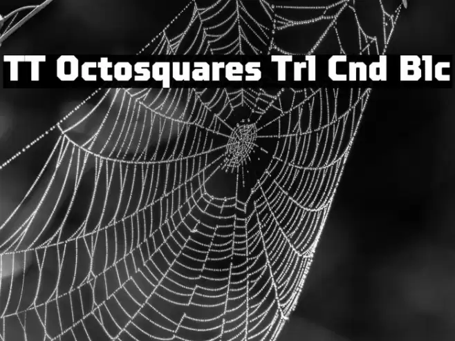 TT Octosquares Trl Cnd Blc フォント examples