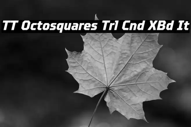 TT Octosquares Trl Cnd XBd It خط examples