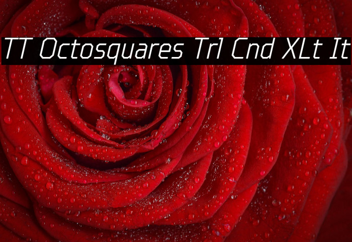 TT Octosquares Trl Cnd XLt It Example 1