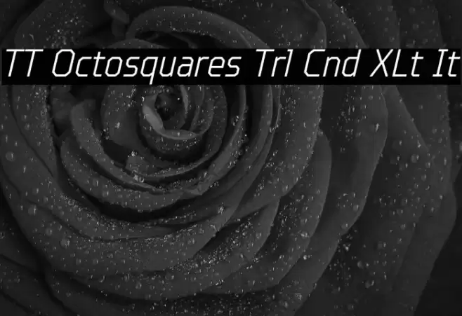 TT Octosquares Trl Cnd XLt It Fuentes examples